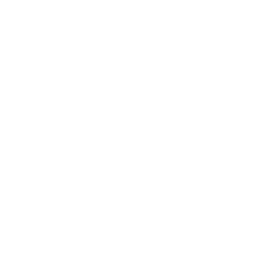 Social Icon 3